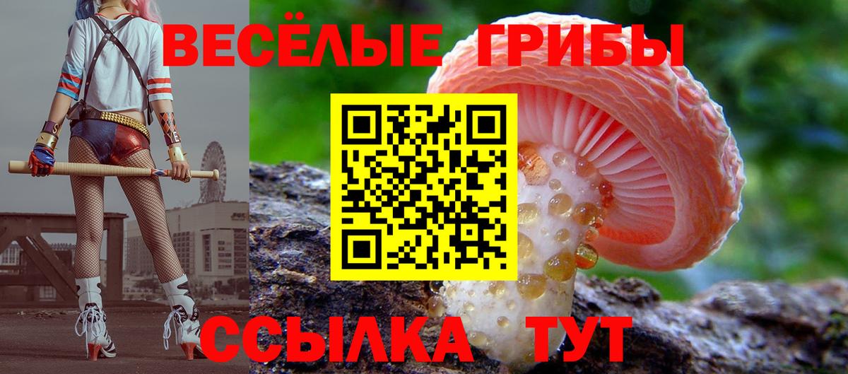 Галлюциногенные грибы Cubensis  Вход с VPN  Псилоцибиновые грибы ЛСД  сколько стоит  Дзержинск 